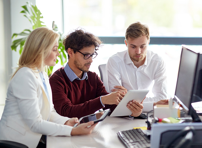 Equipe executando a gestão patrimonial