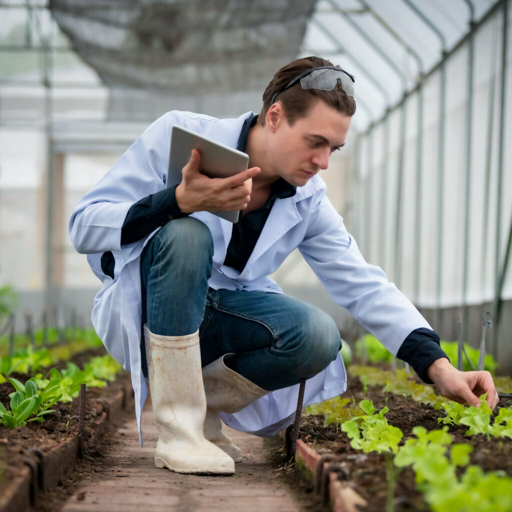 Profissional analisando mudas em estufa com tablet durante aplicação de metodologia para avaliação de ativo biológico